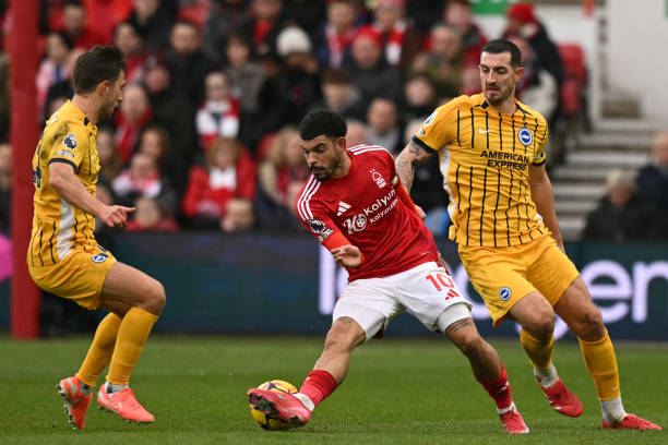 的英超赛场 的英超赛场